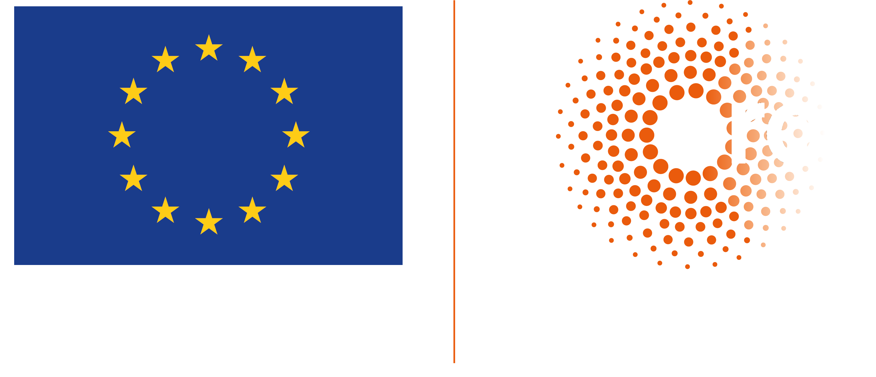 European Research Council logo