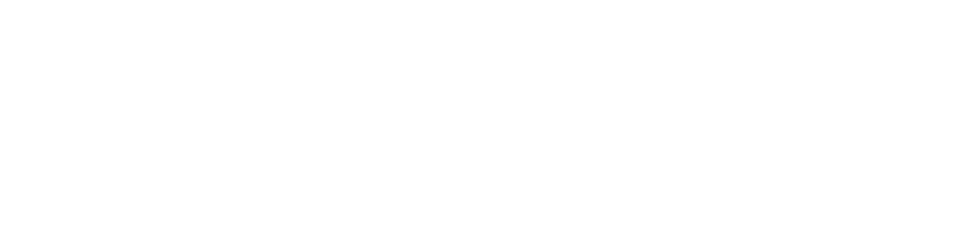 Netherlands eScience Center logo